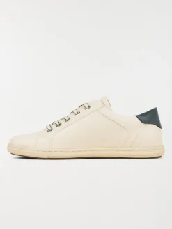 Baskets basses conforts femme (37-42)