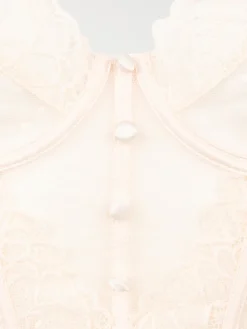 Bustier dentelle femme (85B-95E)