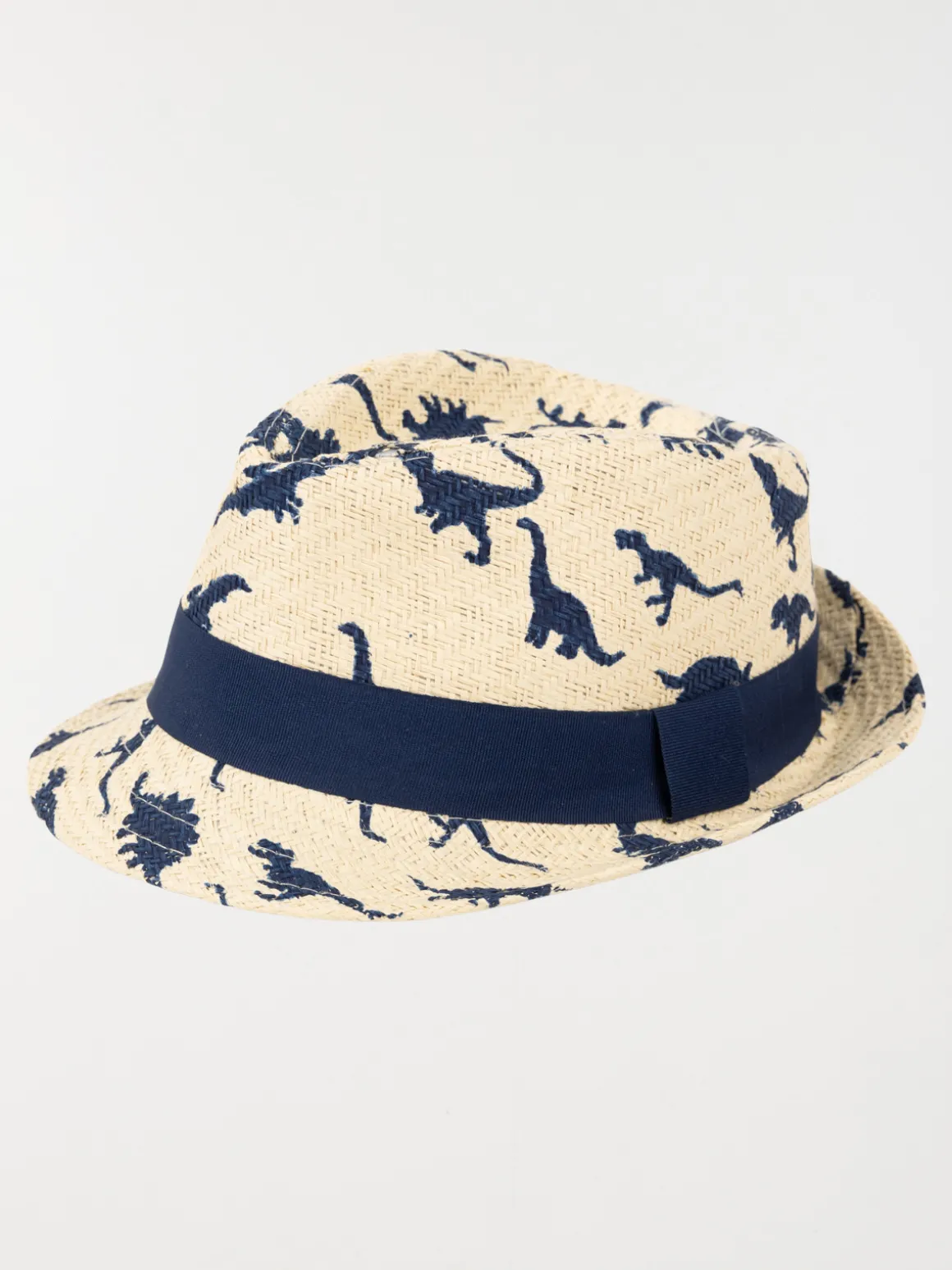 Chapeau dinosaure garçon