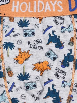 Lot de 3 boxers dinosaures garçon