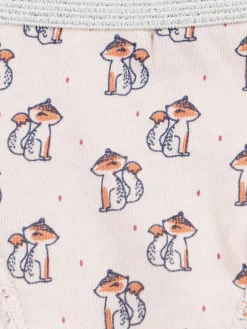Lot de 5 slips renard fille