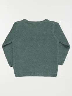 Pull dino dingo garçon (3-36M)