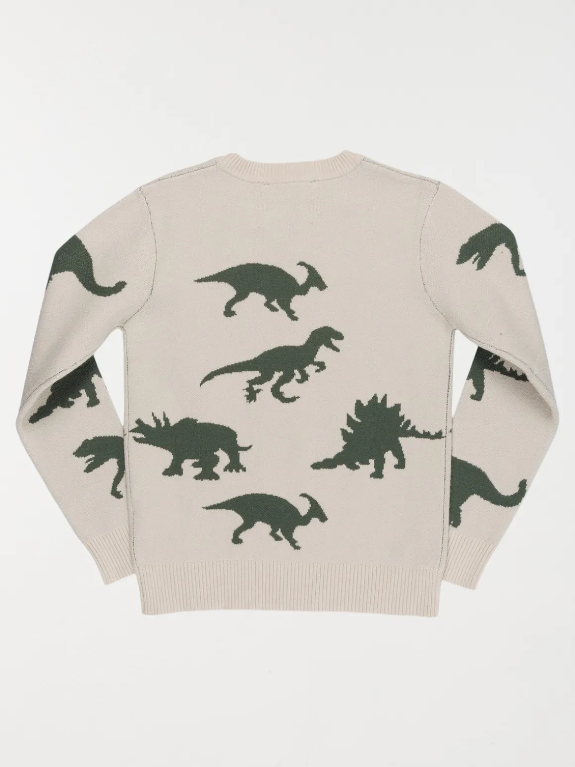 Pull dinosaures garçon (3-12A)