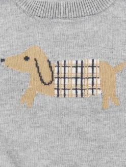 Pull garçon motif chien (3-36M)