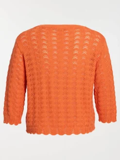 Pull maille crochet grande taille femme