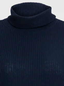 Robe col roulé grande taille femme