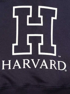 Sweat à capuche Harvard fille (10-16A)