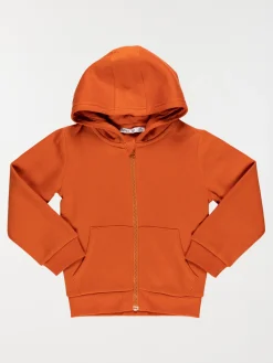 Sweat à capuche rouille garçon (3-8A)