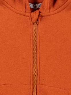 Sweat à capuche rouille garçon (3-8A)
