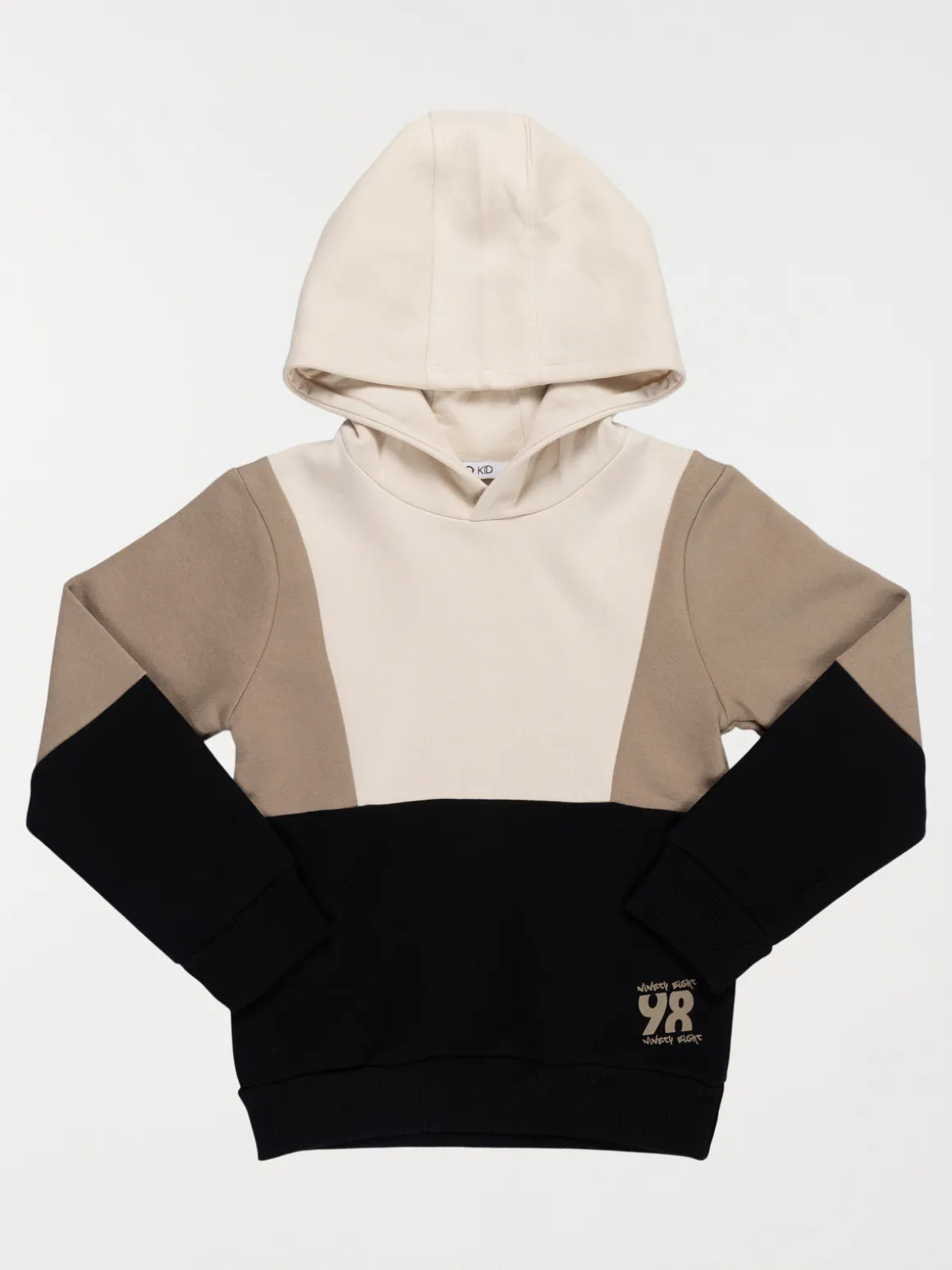 Sweat à capuche tricolore garçon (3-12A)