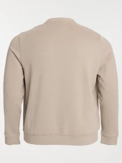 Sweat 100% coton grande taille homme