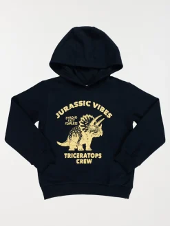 Sweat capuche Tricératops garçon (3-12A)