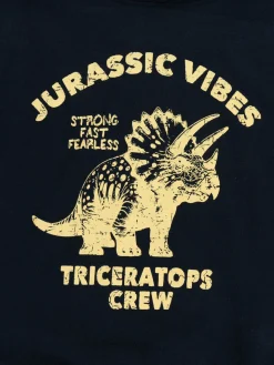 Sweat capuche Tricératops garçon (3-12A)