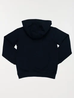 Sweat capuche Tricératops garçon (3-12A)
