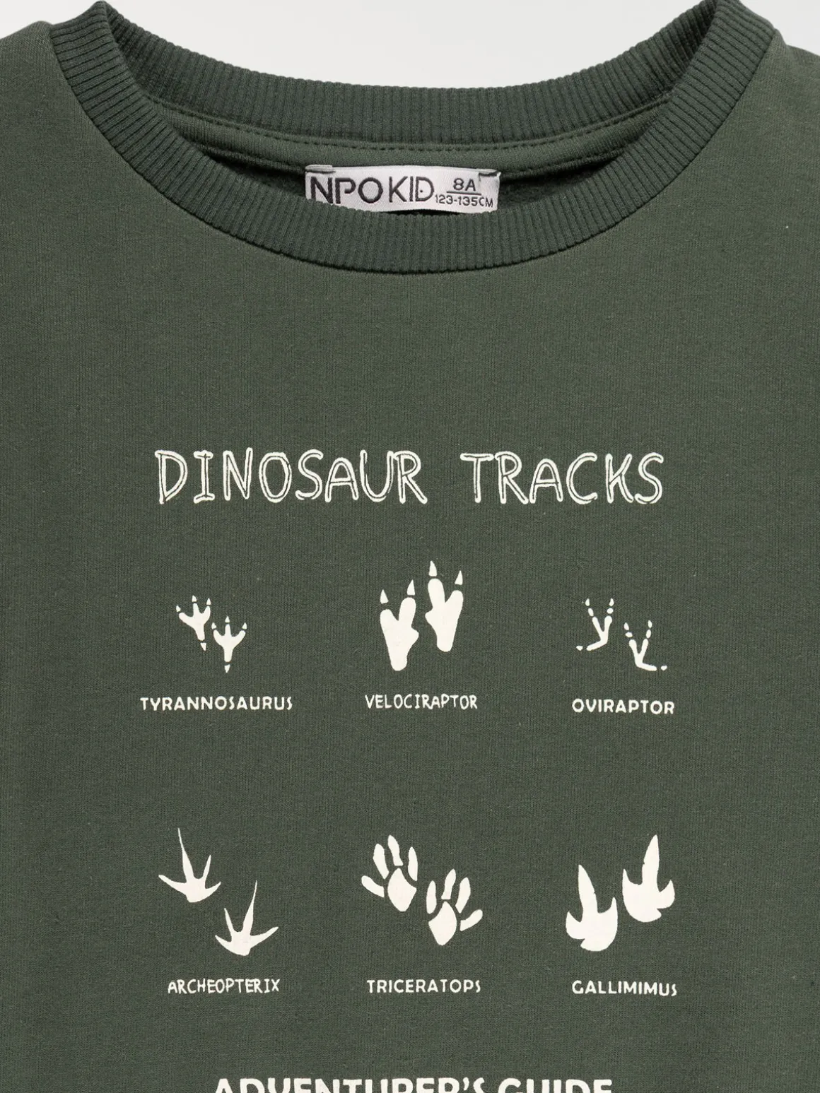 Sweat dinosaure garçon (3-12A)