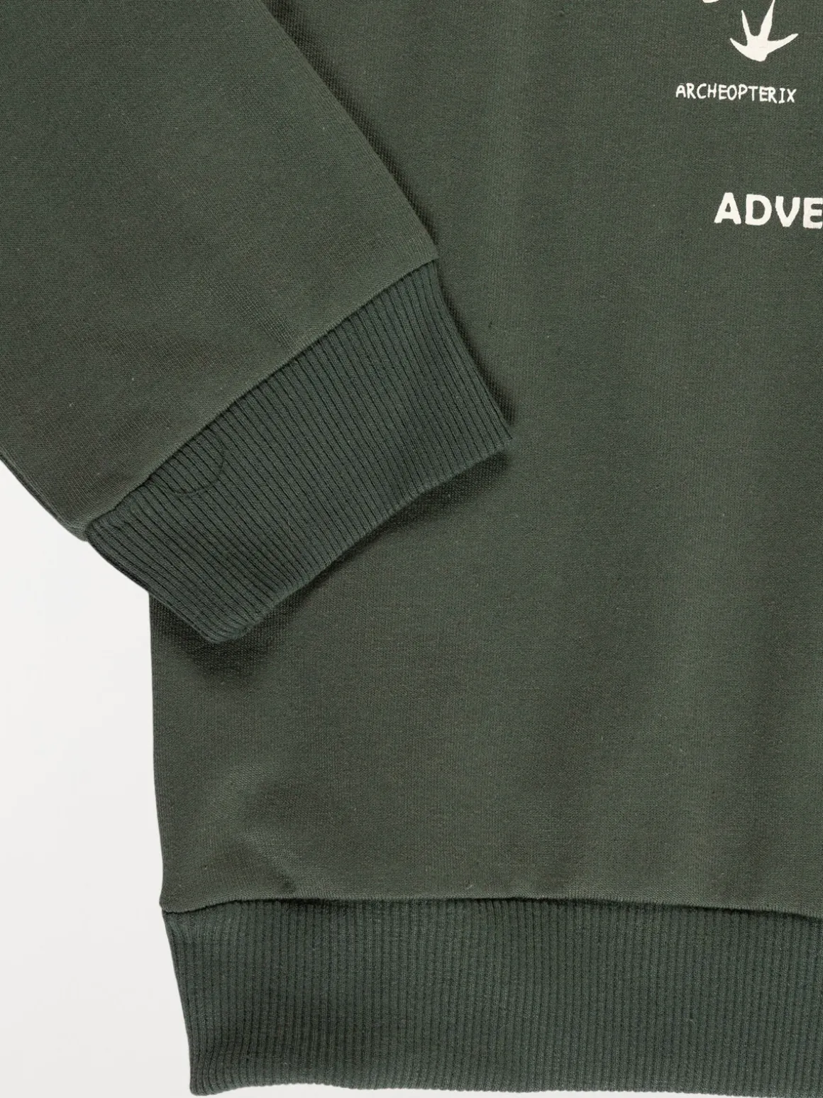Sweat dinosaure garçon (3-12A)