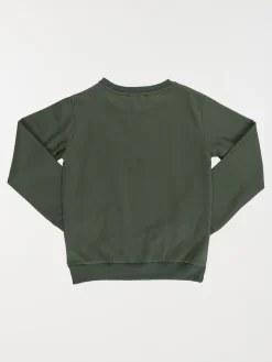 Sweat dinosaure garçon (3-12A)