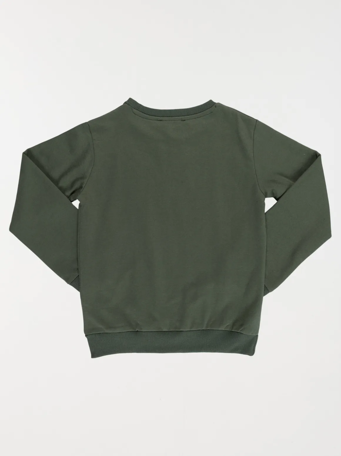 Sweat dinosaure garçon (3-12A)