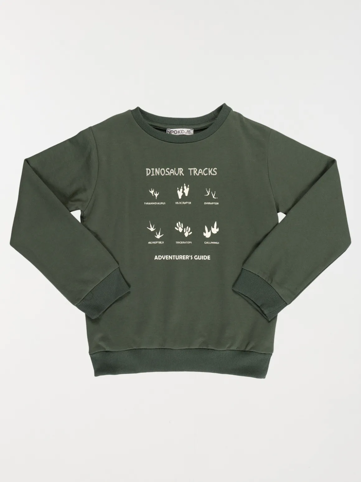 Sweat dinosaure garçon (3-12A)