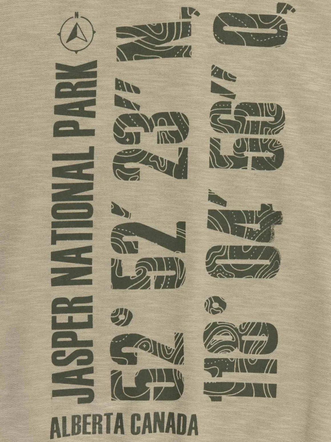 Sweat garçon à capuche imprimé (XXS-M)