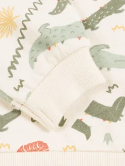 Sweat motif crocodile garçon (3-36M)