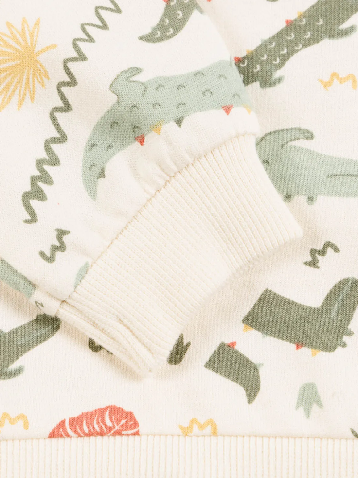 Sweat motif crocodile garçon (3-36M)