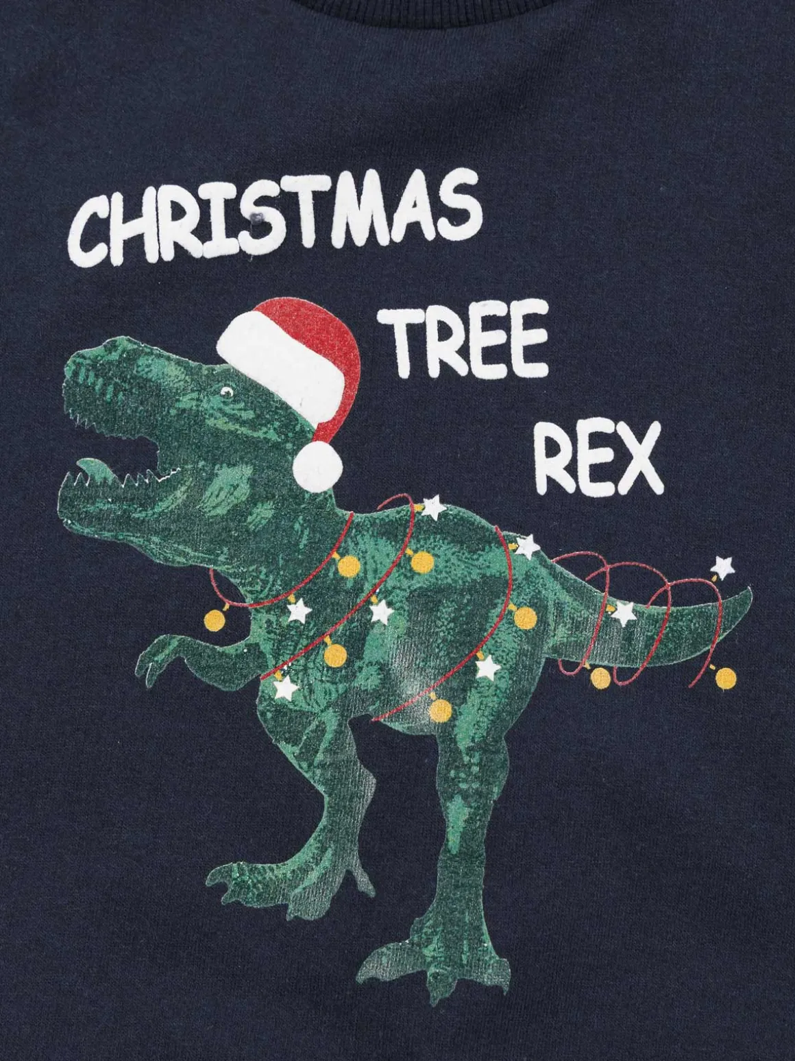 Sweat Noël dinosaure garçon (3-12A)