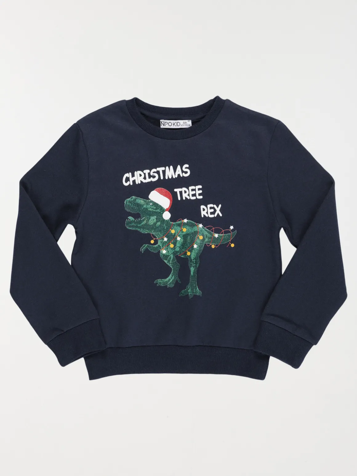 Sweat Noël dinosaure garçon (3-12A)