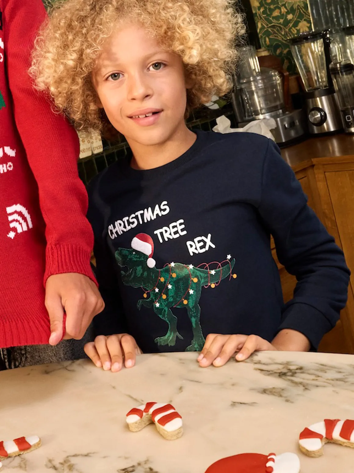 Sweat Noël dinosaure garçon (3-12A)