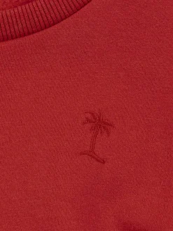 Sweat palmier brodé garçon (3-12A)
