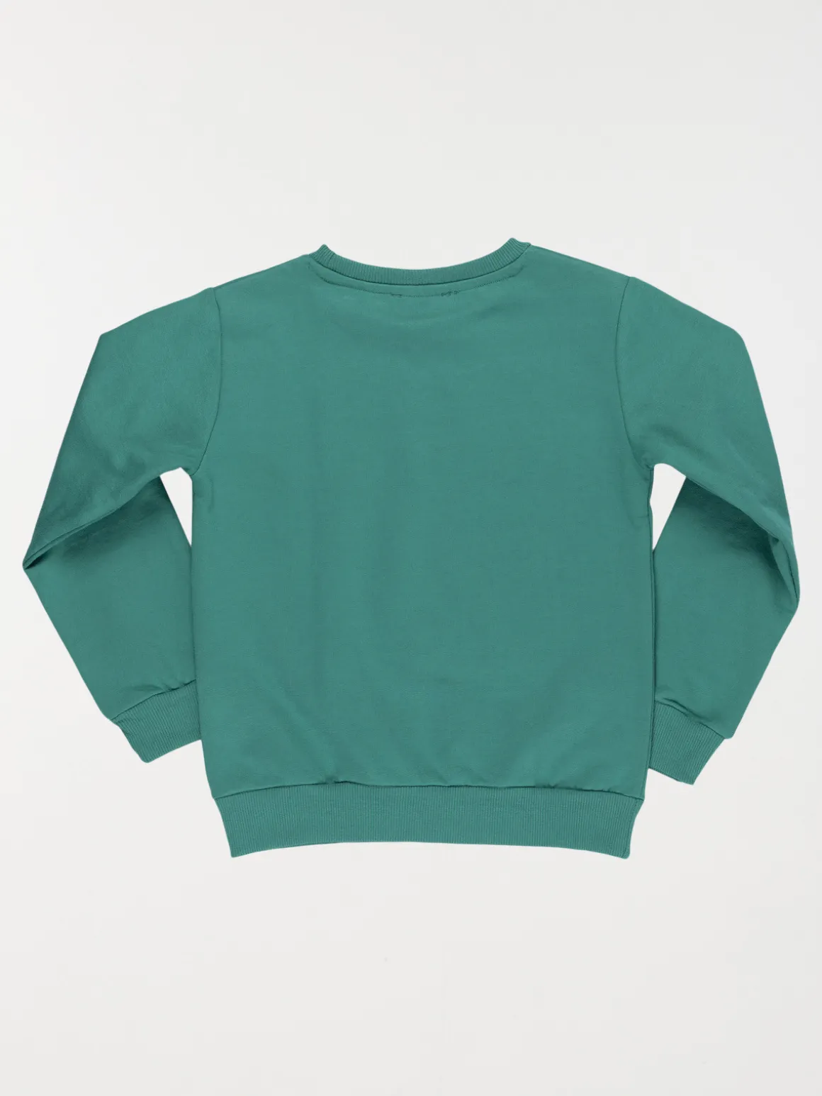 Sweat uni palmier brodé garçon (3-12A)