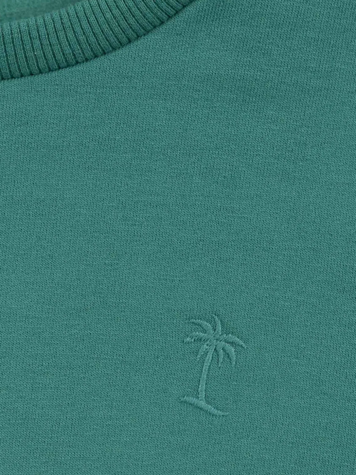 Sweat uni palmier brodé garçon (3-12A)