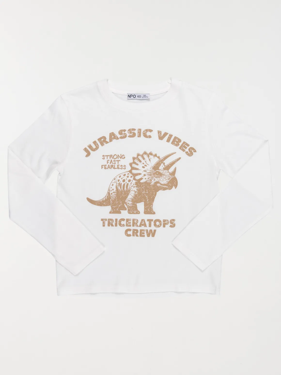 T-shirt dinosaure garçon (3-12A)