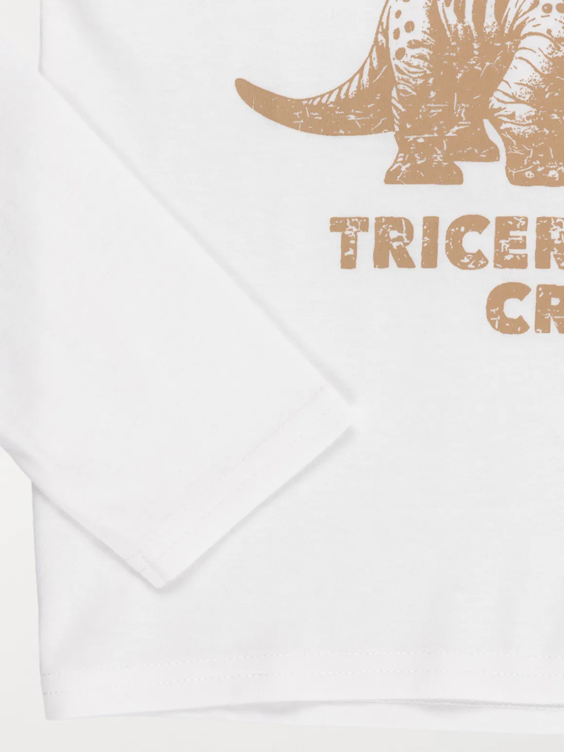 T-shirt dinosaure garçon (3-12A)