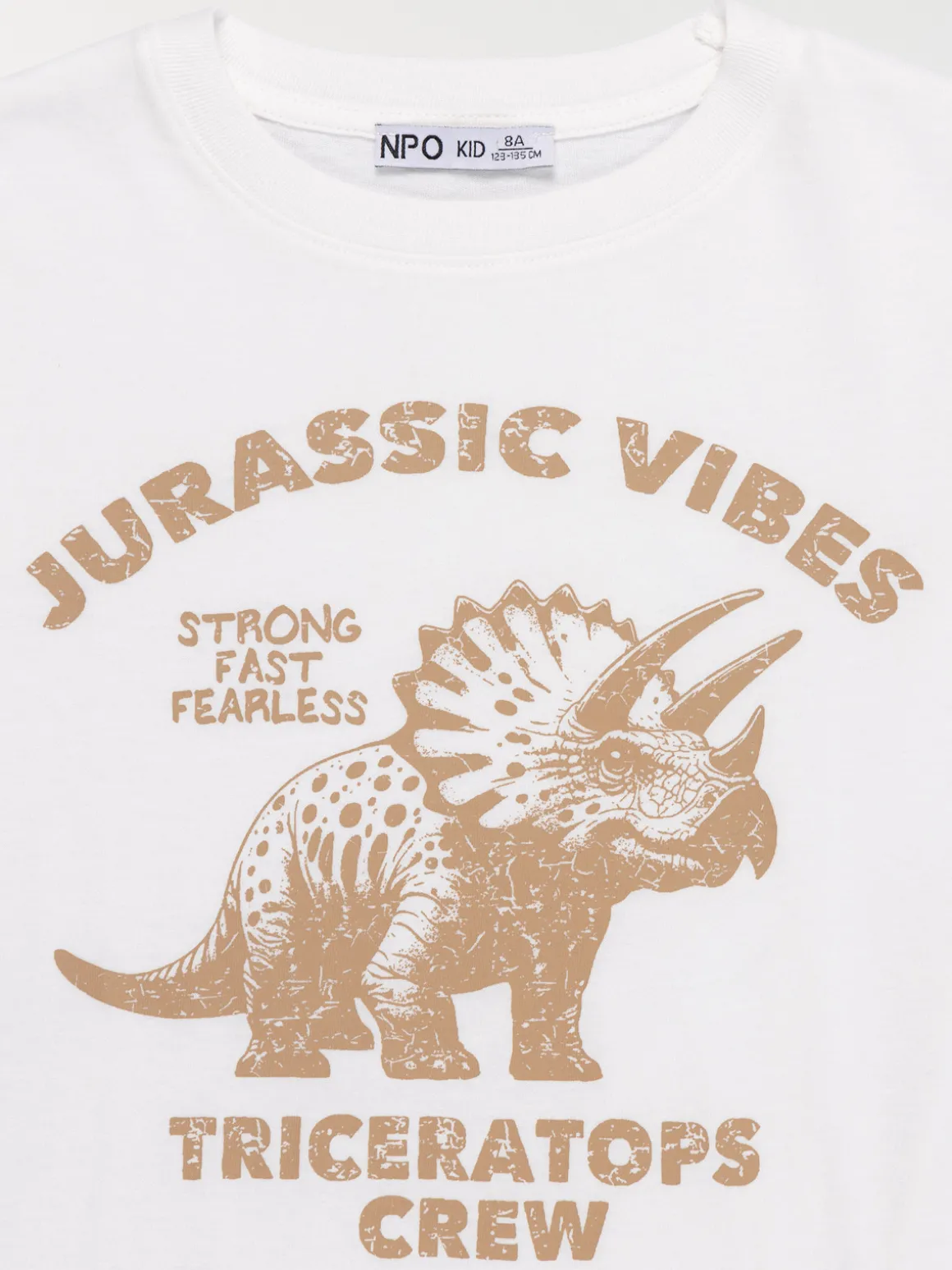 T-shirt dinosaure garçon (3-12A)