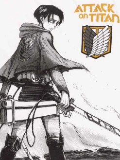 T-shirt garçon Attack on titan (XXS-M)