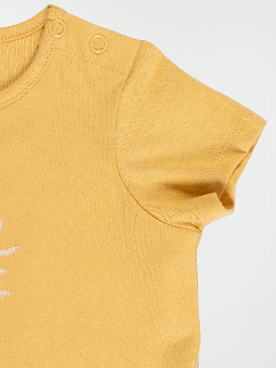T-shirt lion 3D garçon (3-36M)