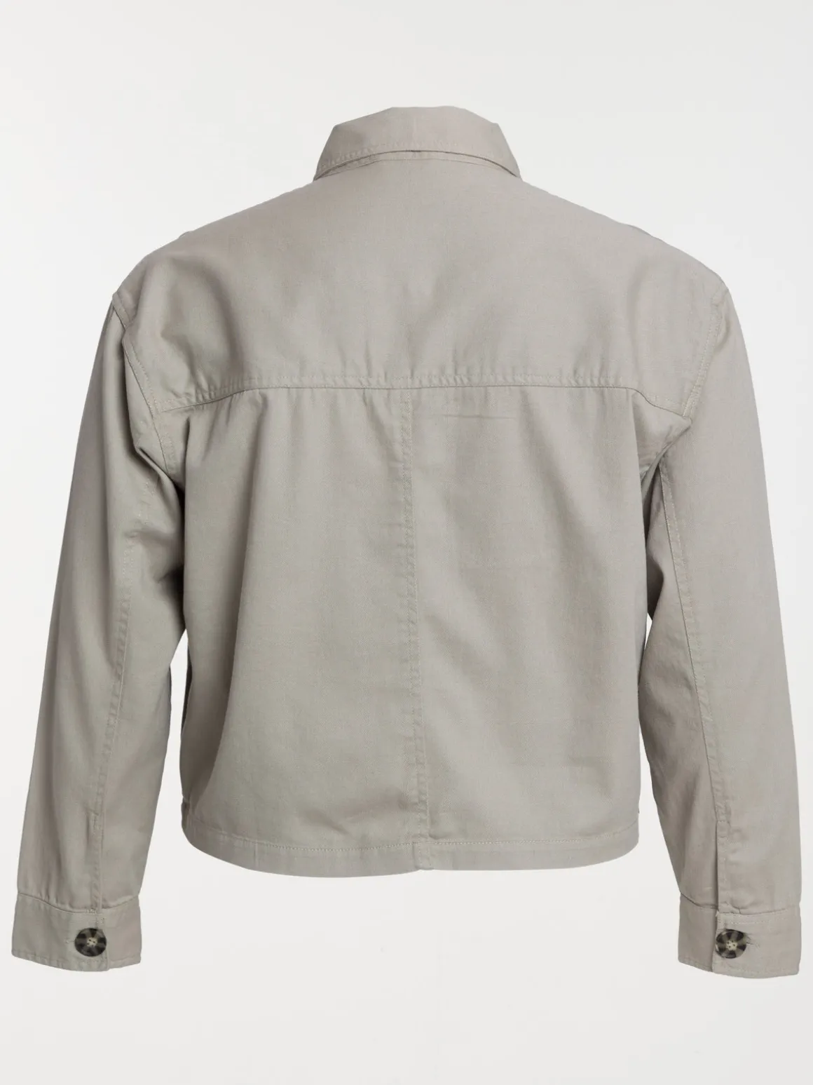 Veste sauge grande taille femme